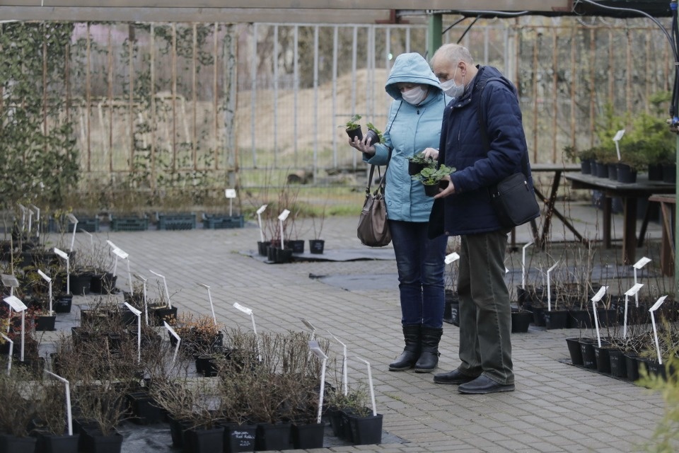 Пошли в рост