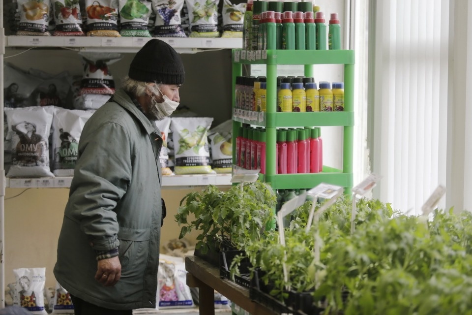 Пошли в рост