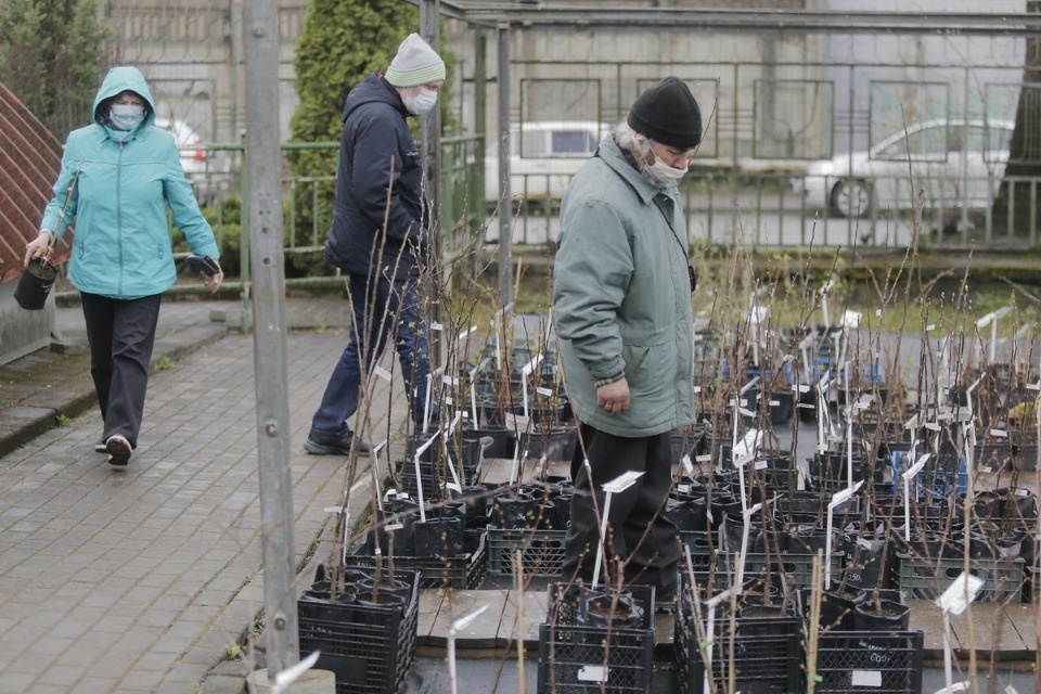 Пошли в рост