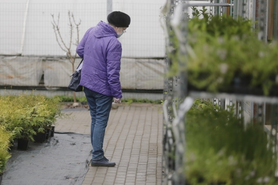 Пошли в рост