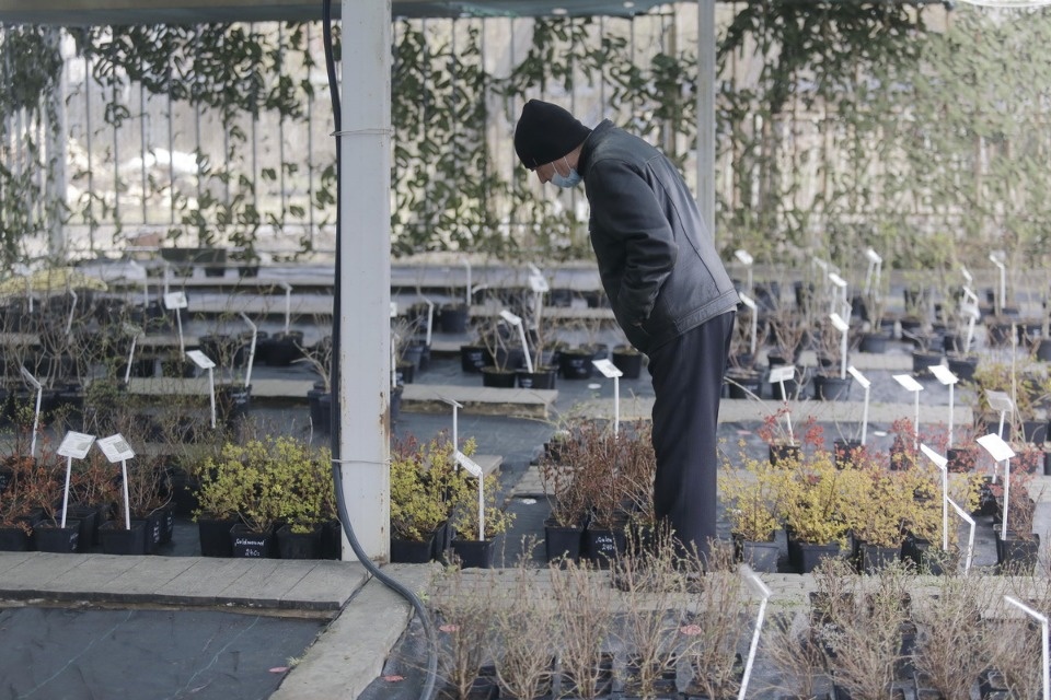 Пошли в рост