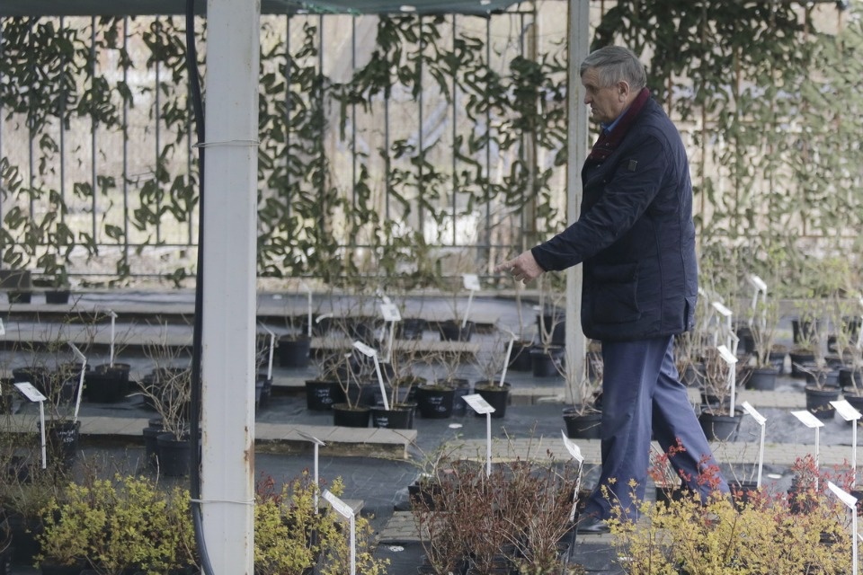 Пошли в рост