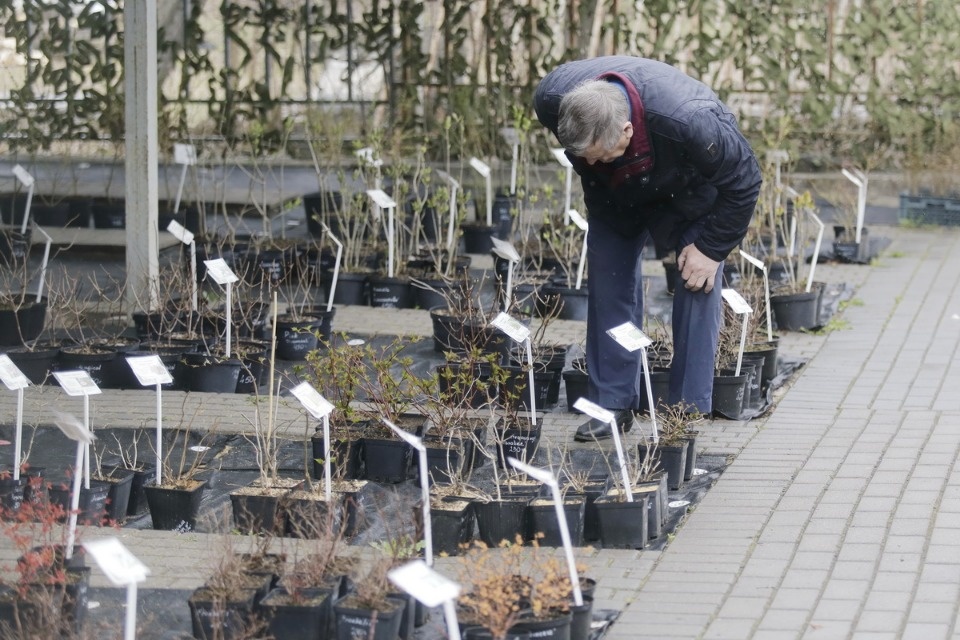 Пошли в рост