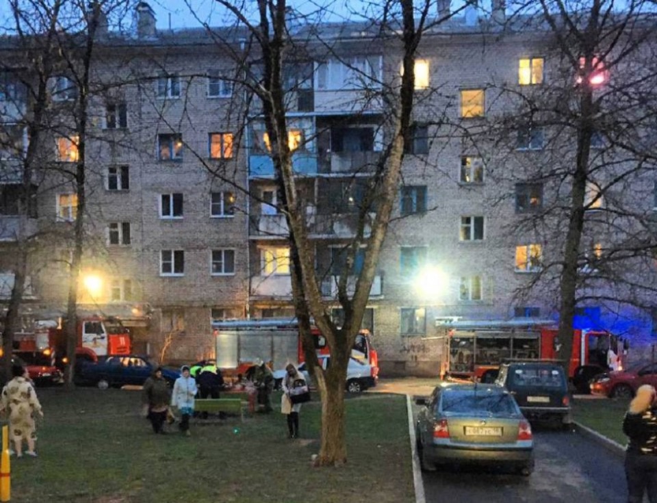 Людей и кота спасли псковские полицейские во время пожара в Пскове