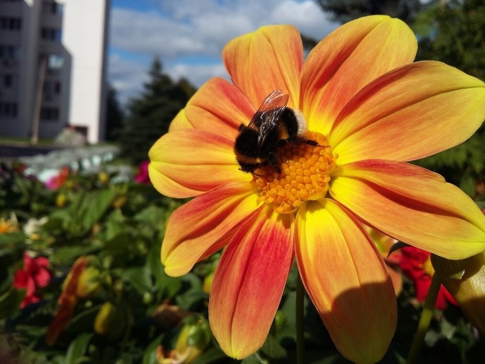 Самый жаркий день с начала весны ожидается в Псковской области 19 мая Самый жаркий день с начала весны ожидается в Псковской области 19 мая
