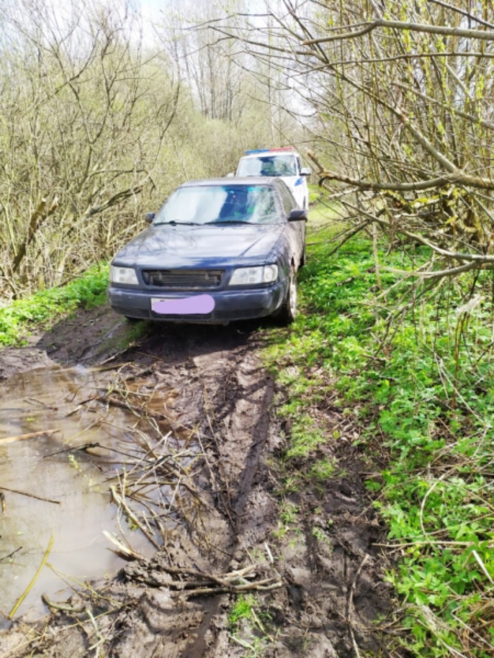 Полицейские помогли великолучанке с ребенком вытащить застрявшую в грязи машину