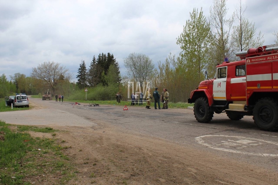 Лесовоз насмерть сбил велосипедистку в Красногородском районе Лесовоз насмерть сбил велосипедистку в Красногородском районе