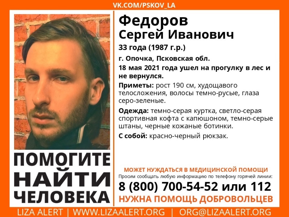 В Псковской области ищут мужчину, не вернувшегося после прогулки в лесу