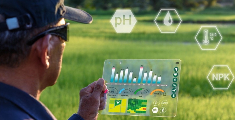 Ветеринар на «удаленке»