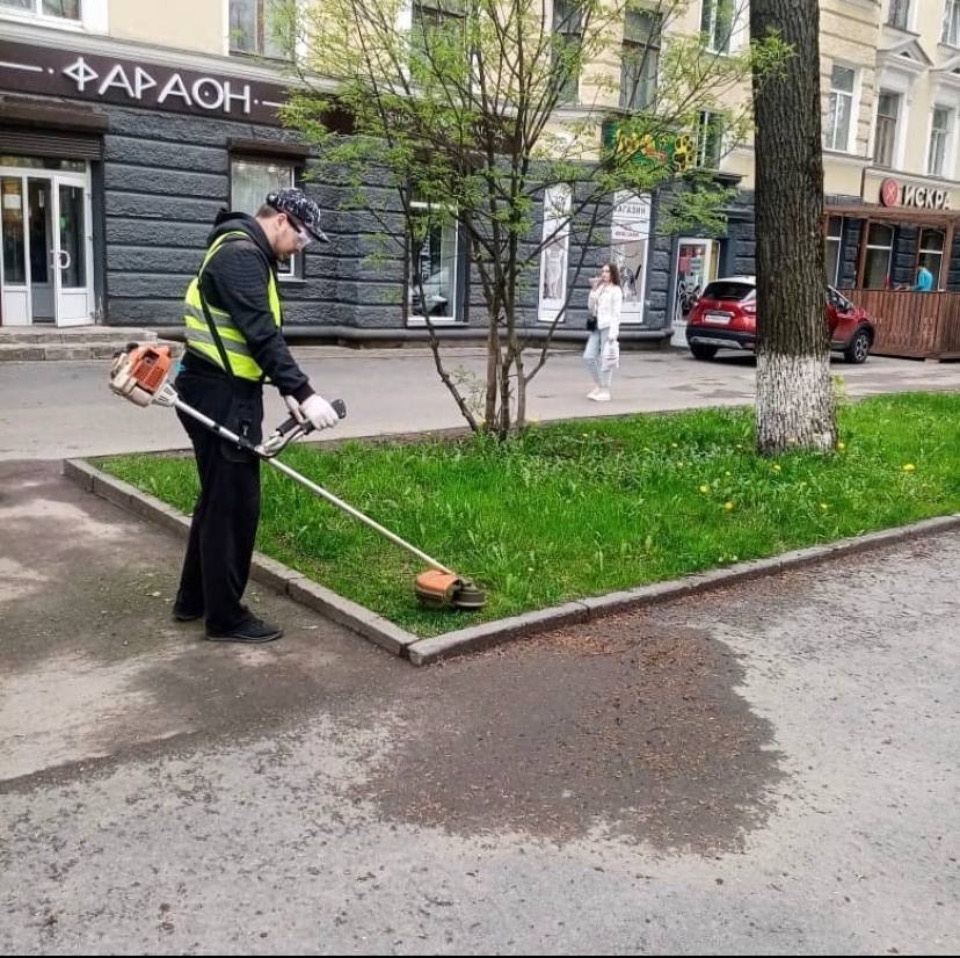 Косить траву на центральных улицах Пскова будут без перерыва до глубокой осени