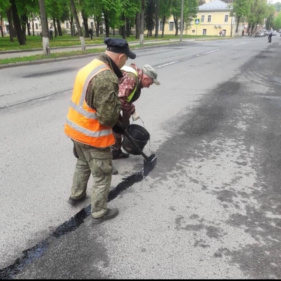 Косить траву на центральных улицах Пскова будут без перерыва до глубокой осени