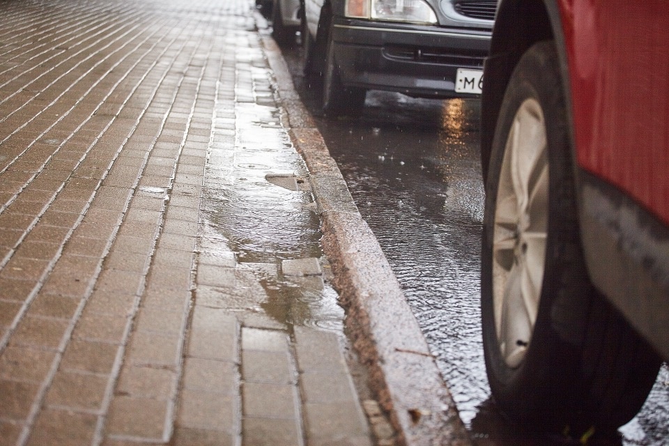Сильные дожди прогнозируются в восточных районах Псковской области