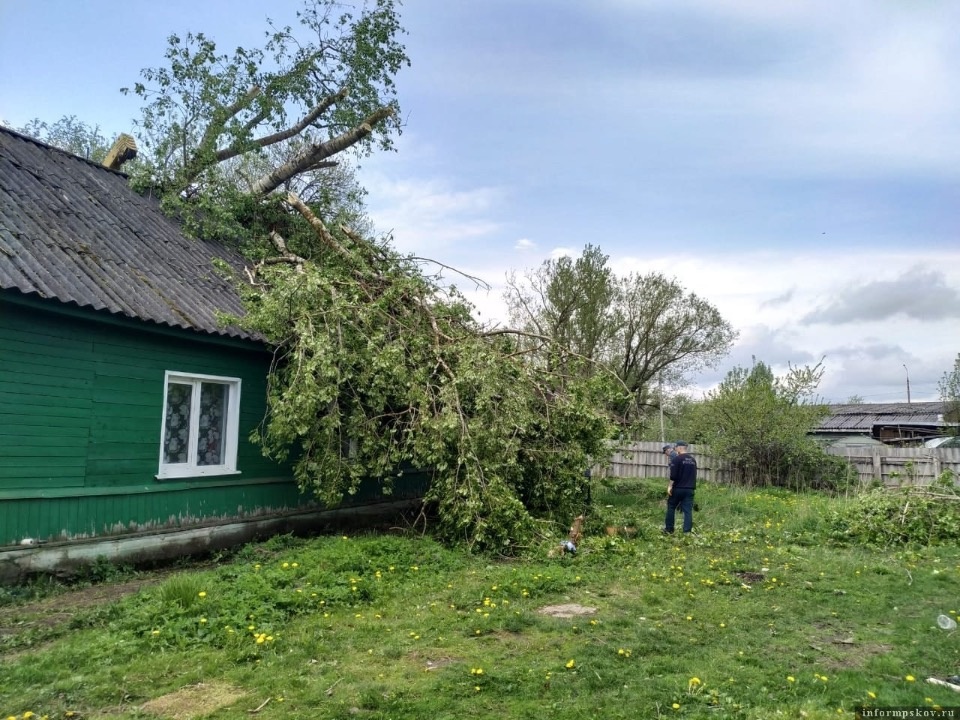 В районах Псковской области устраняют последствия ураганного ветра