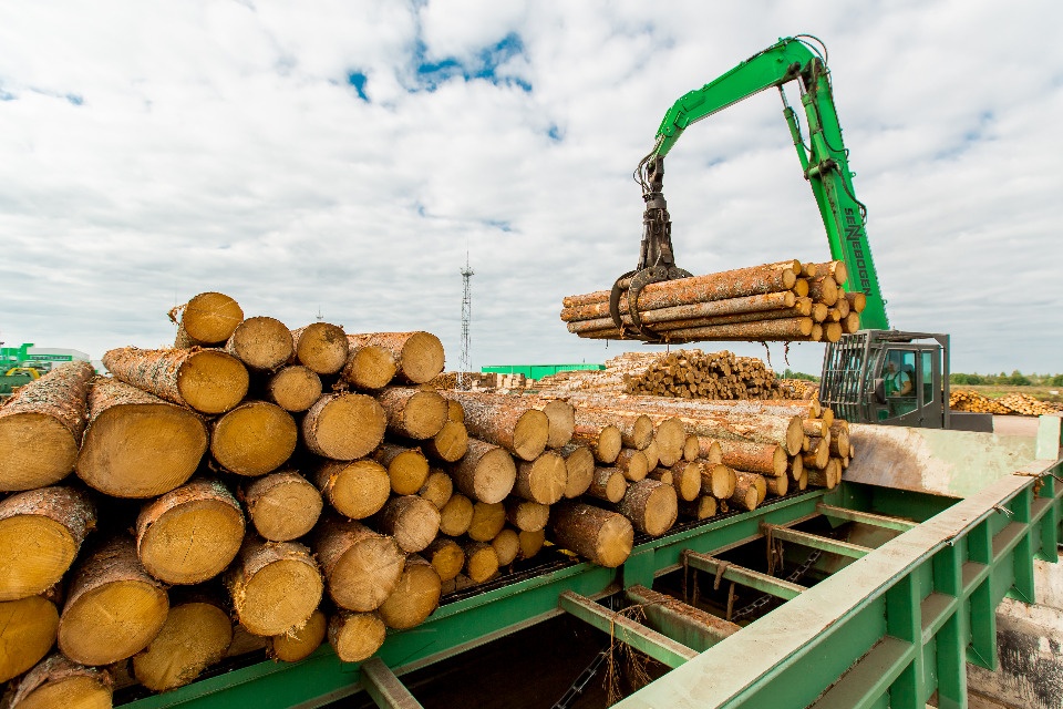 Ответственное лесопользование