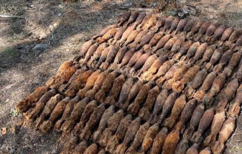 113 мин времен войны обнаружили в Невельском районе