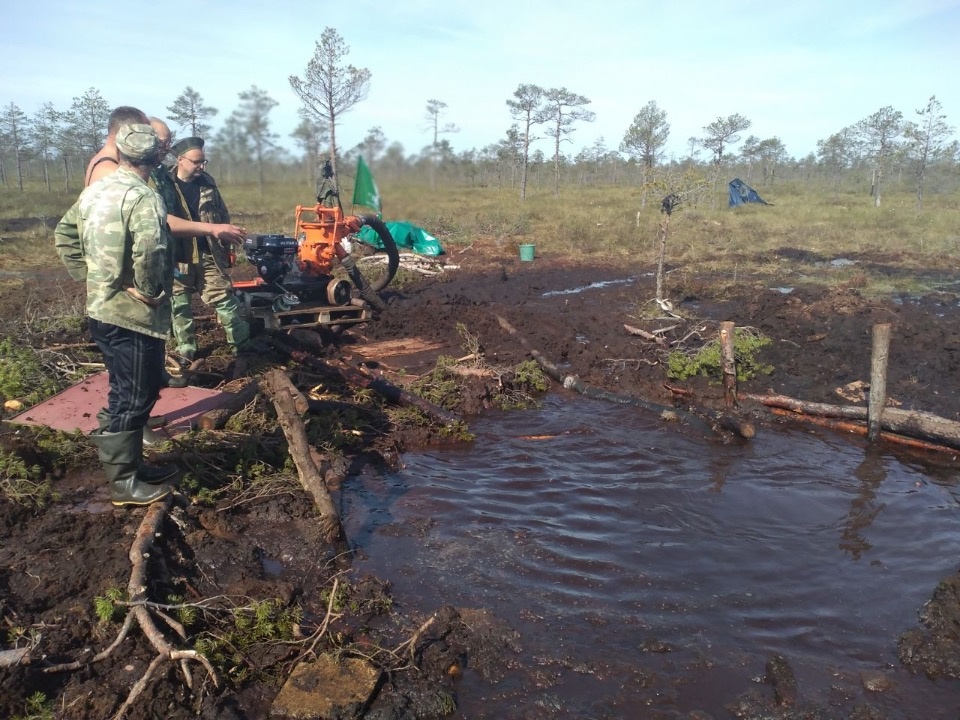 Поисковики подняли первые обломки самолета Ил-2 времен войны в Пыталовском районе