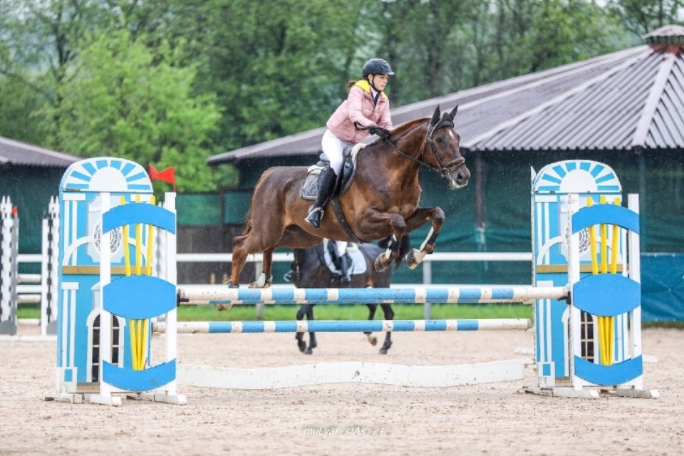 Пять золотых медалей завоевала псковская спортсменка на Чемпионате СЗФО по конкуру Пять золотых медалей завоевала псковская спортсменка на Чемпионате СЗФО по конкуру