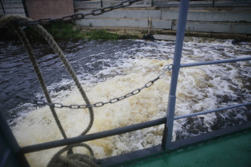 Поплыли! Поплыли!