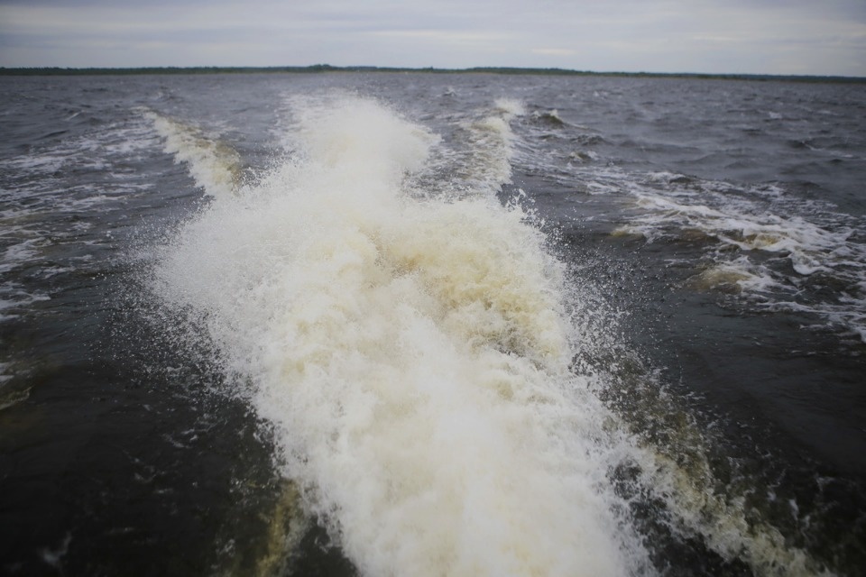 Поплыли! Поплыли!