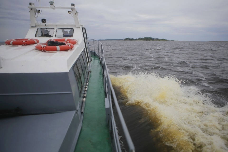 Поплыли! Поплыли!