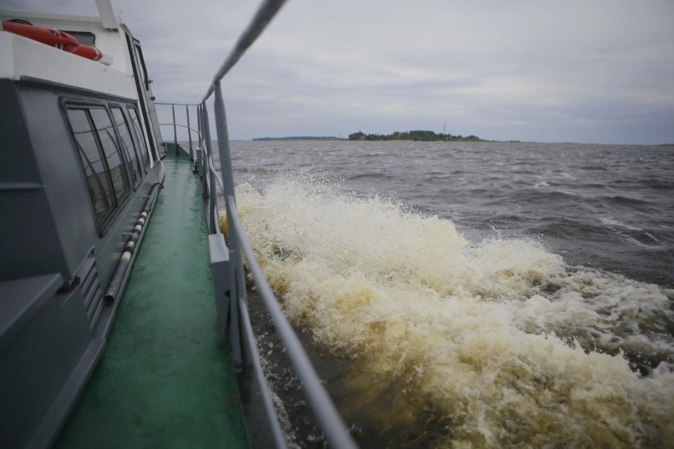 Поплыли! Поплыли!