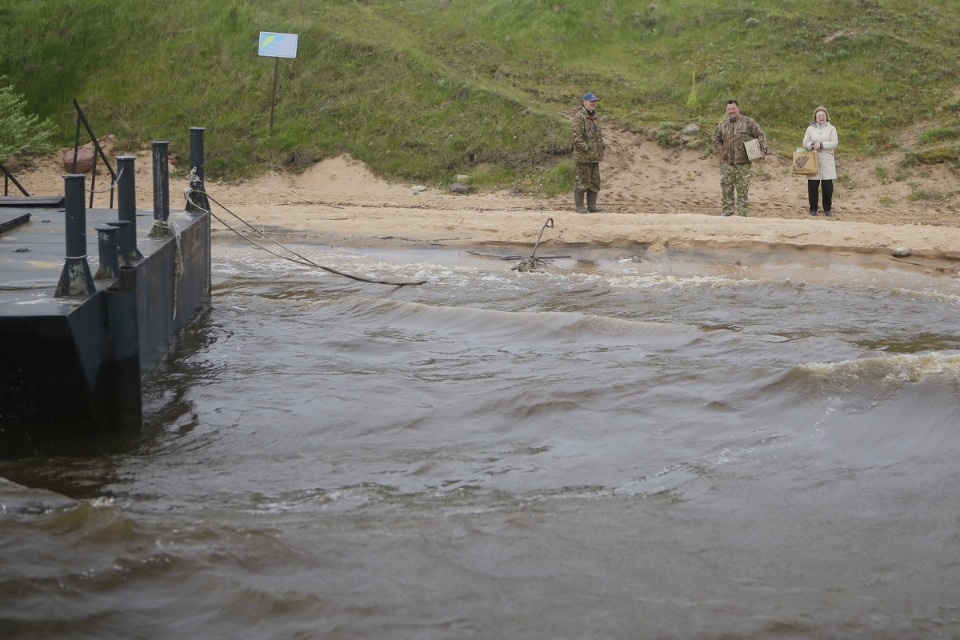 Поплыли! Поплыли!