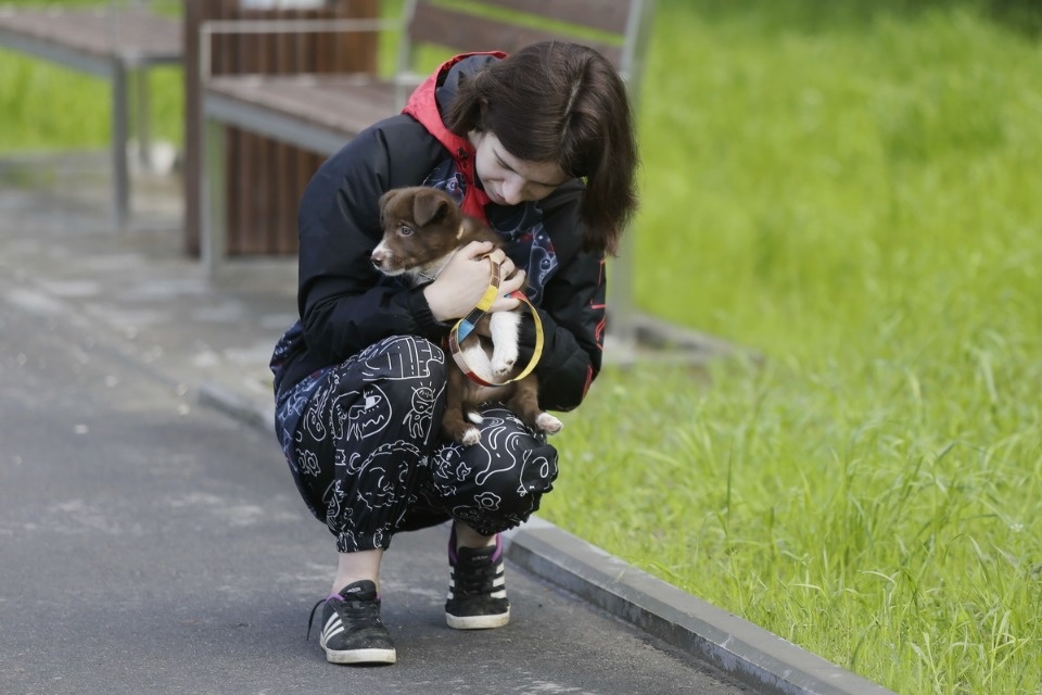 Граница на замке