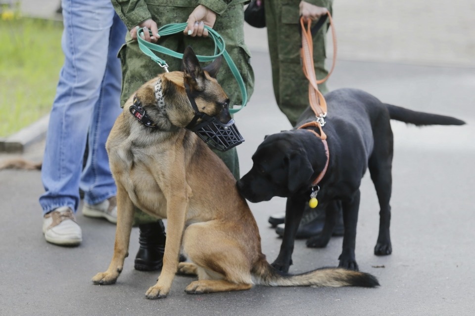 Граница на замке