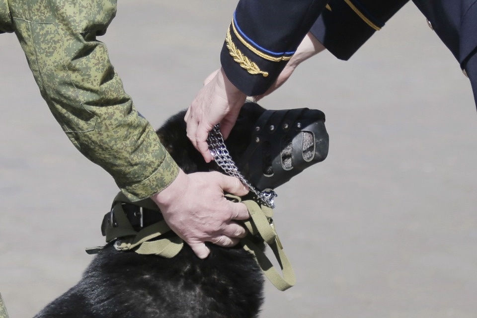 Граница на замке