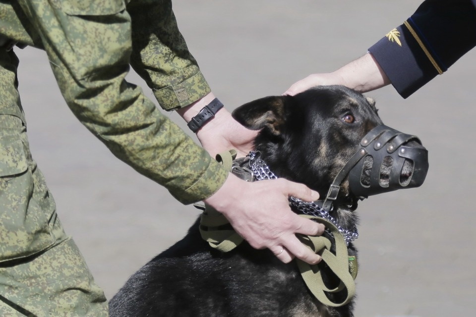 Граница на замке