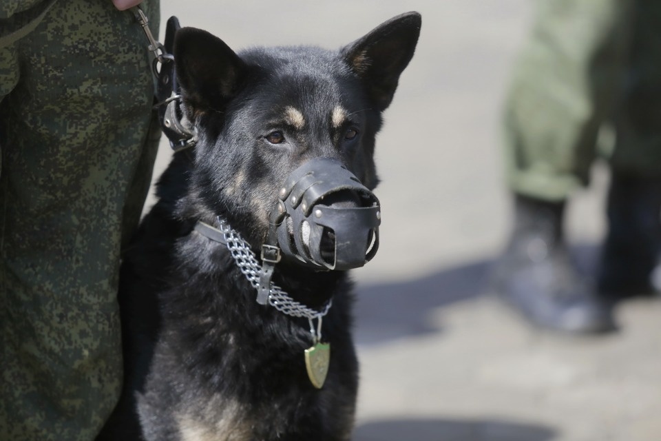 Граница на замке