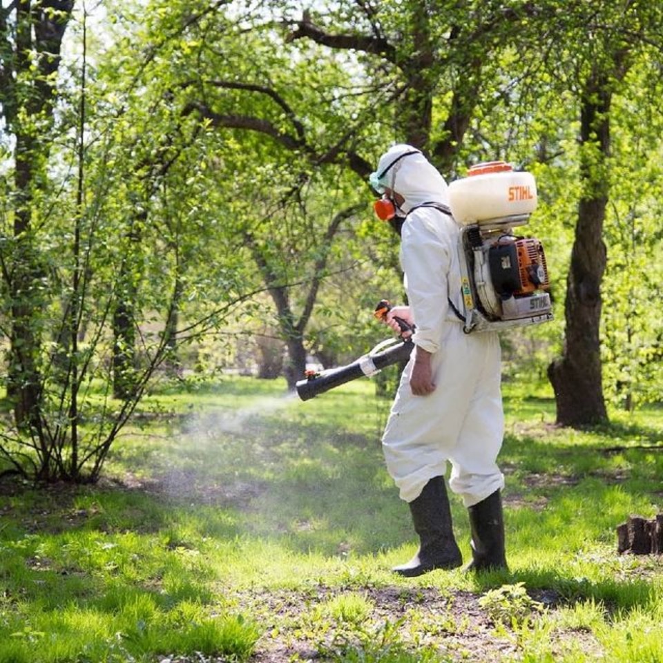 Музей-заповедник «Изборск» обрабатывают от клещей