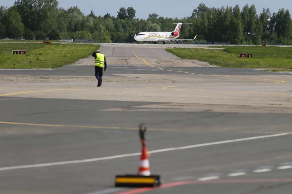 Полетели на юг Полетели на юг