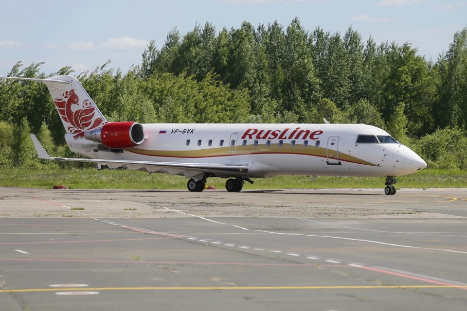 Полетели на юг Полетели на юг