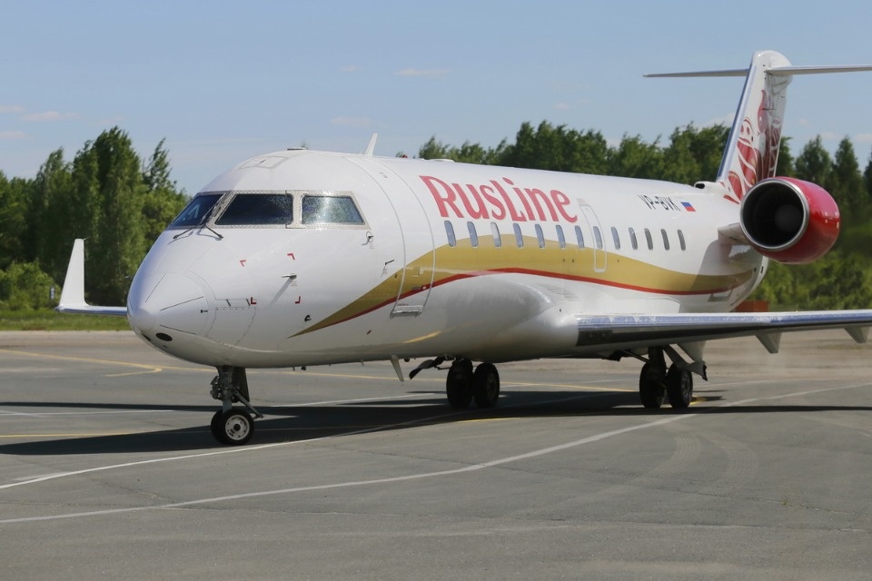 Полетели на юг Полетели на юг