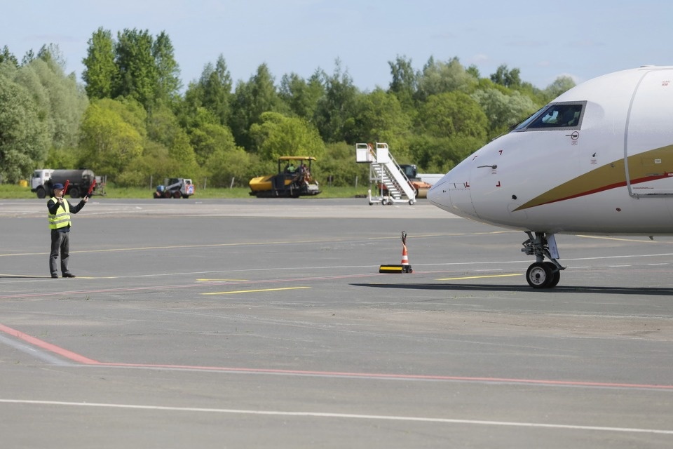 Полетели на юг Полетели на юг