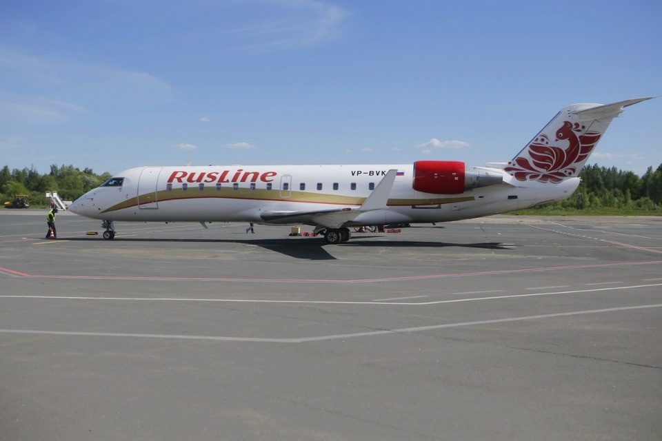 Полетели на юг Полетели на юг