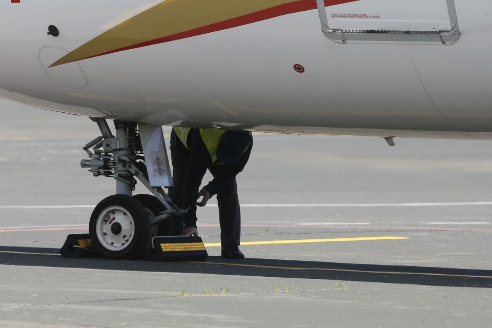 Полетели на юг Полетели на юг