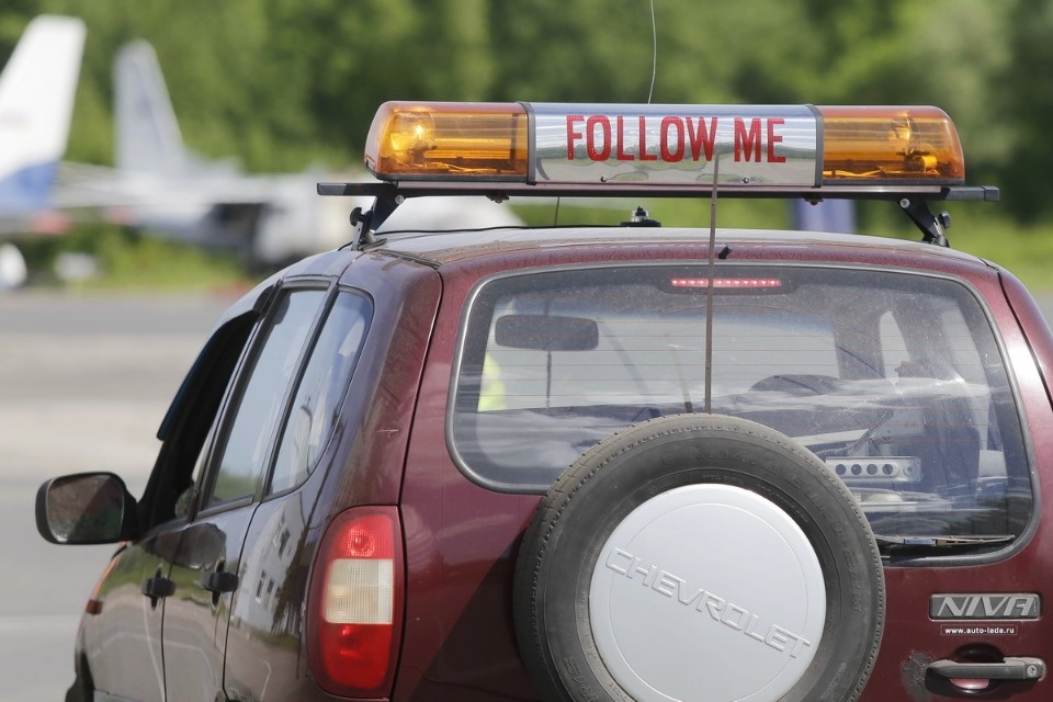 Полетели на юг Полетели на юг