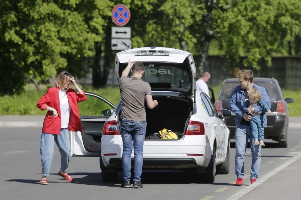 Полетели на юг Полетели на юг