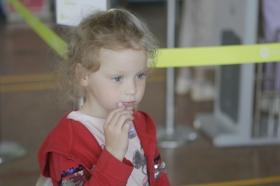 Полетели на юг Полетели на юг