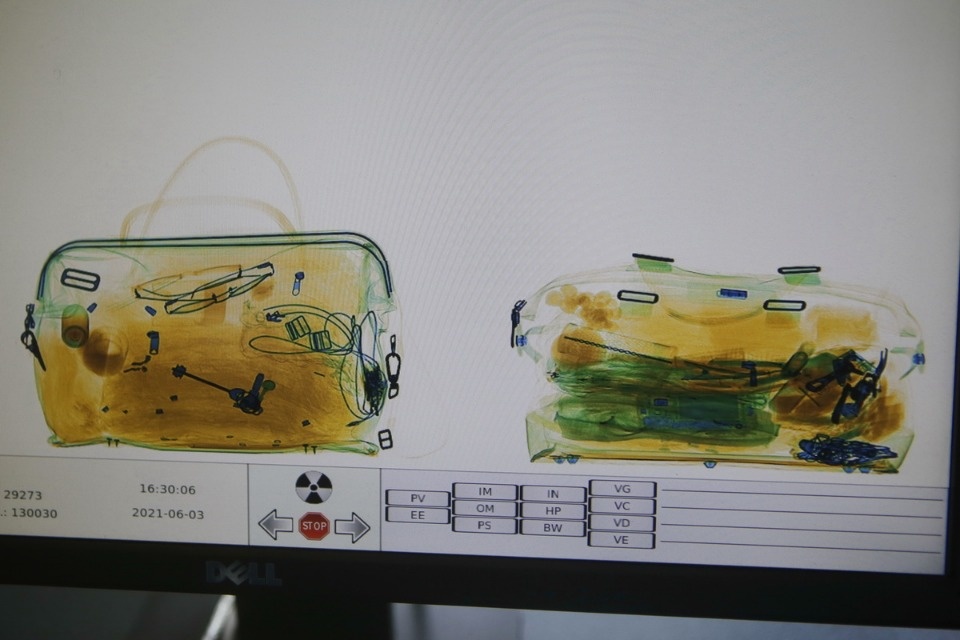 Полетели на юг Полетели на юг