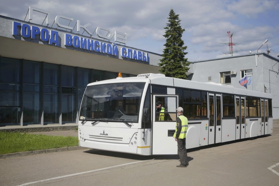 Полетели на юг Полетели на юг