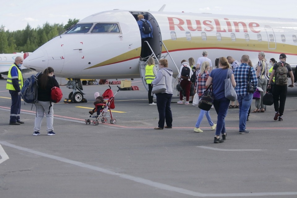 Полетели на юг Полетели на юг