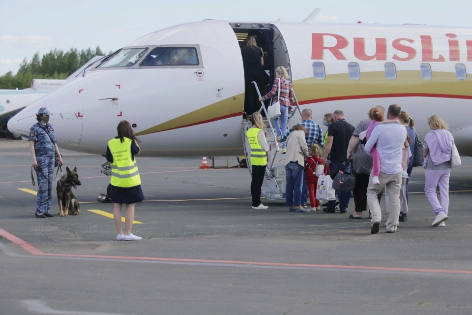 Полетели на юг Полетели на юг