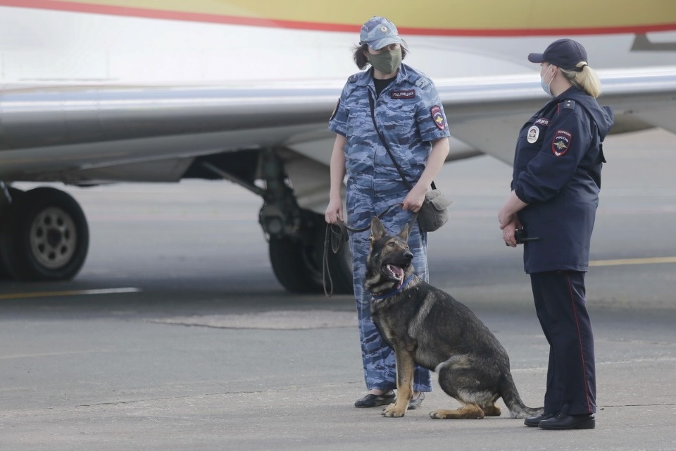 Полетели на юг Полетели на юг