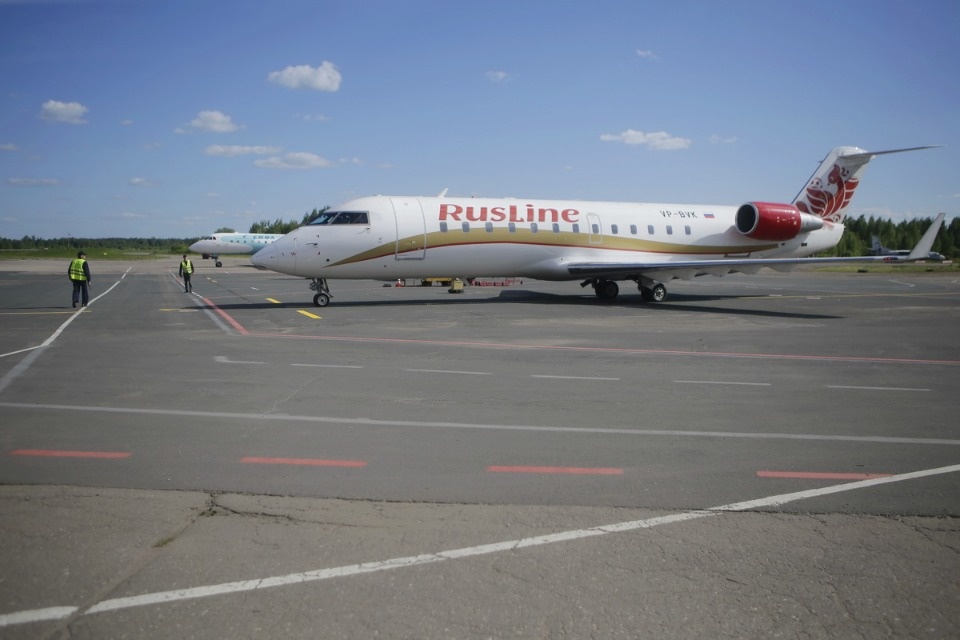 Полетели на юг Полетели на юг