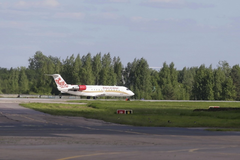 Полетели на юг Полетели на юг