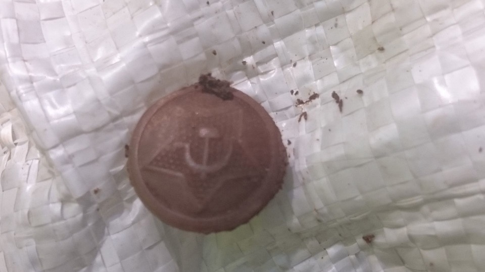 Печорские поисковики устанавливают личность солдата, найденного во дворе деревенского дома