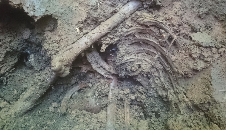 Печорские поисковики устанавливают личность солдата, найденного во дворе деревенского дома